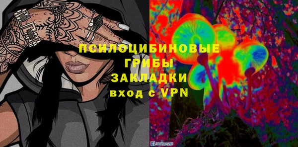 ECSTASY Медвежьегорск