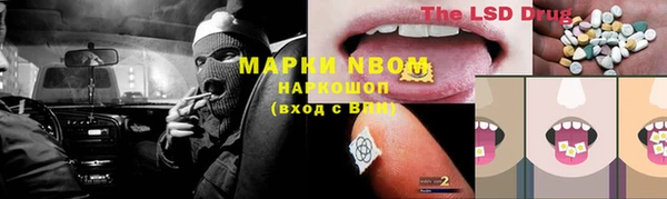 ECSTASY Медвежьегорск