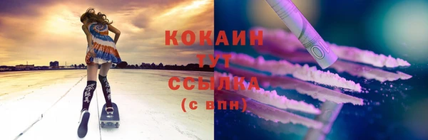 соль ск Мегион