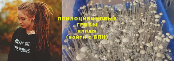 ECSTASY Медвежьегорск