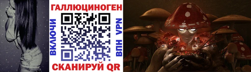 Галлюциногенные грибы Cubensis  купить  сайты  дарк нет телеграм  Нахабино 